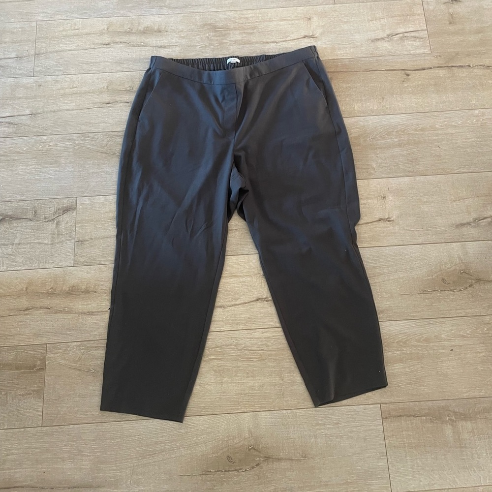 J Crew Mercantile Plus Work Pants 22W